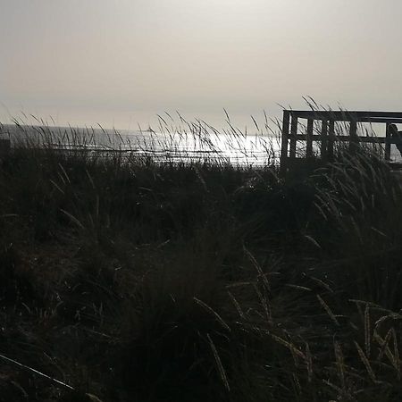 Casa Das Conchas コスタ・ダ・カパリカ エクステリア 写真