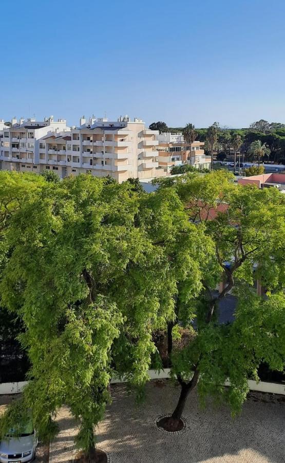 Casa Das Conchas コスタ・ダ・カパリカ エクステリア 写真